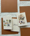 Grace in Bloom: Notebook (Gift)